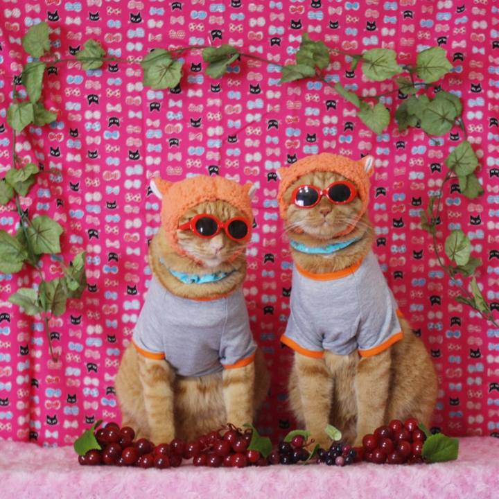 8bcec983 c7be 4b18 9062 968e88da48d3 1732191945639