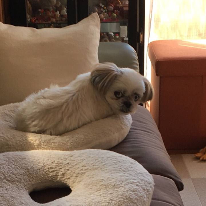 8bcefaab fbfe 4cb8 bfcc 2d28d8b95be2 1550459239715