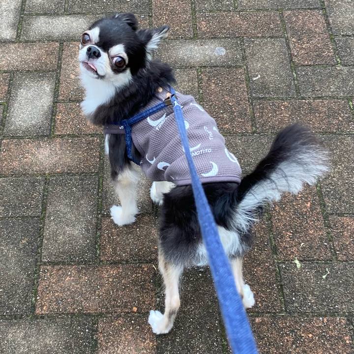 8bcf4a74 88c5 47a4 aa03 56e3530fbfdf 1683992447204