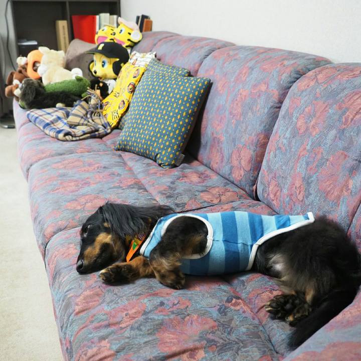 8bcf4b09 18a8 4725 9f03 581dfd7a94b9 1531370141050