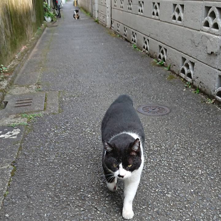 8bcf5a02 7ffa 4d3d ab70 0b78f5912206 1627271952614