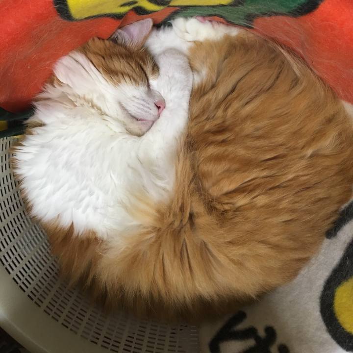 8bcf9f71 465f 41fa 8a7e 866c320c2939 1532363525564