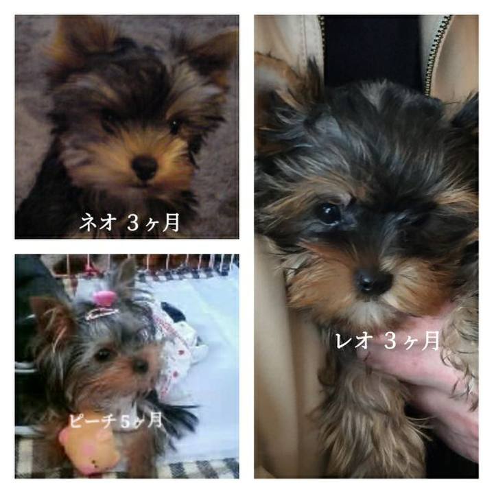 8bcfa022 a7be 444d 8ecb e9707d6913e1 1588940697664