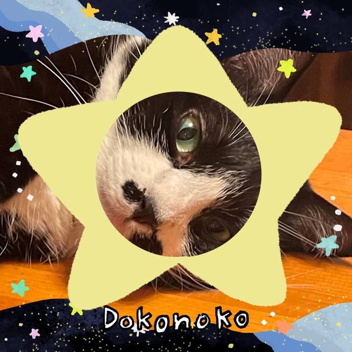 8bcfc6a8 cb05 48a6 8df2 e81dc5eeee2a 1721217678063