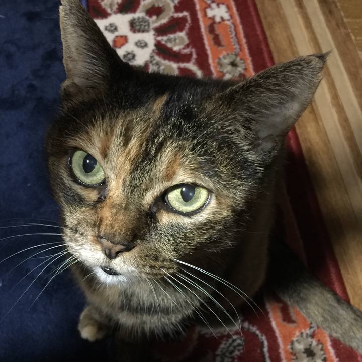 8bd03f56 313d 48c1 a4c0 7f28fb10ebc3 1537187478422