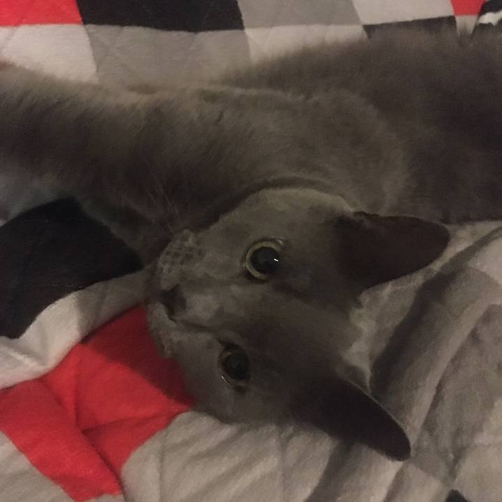 8bd06469 004f 4a98 a206 f5c26631e54c 1655514034634