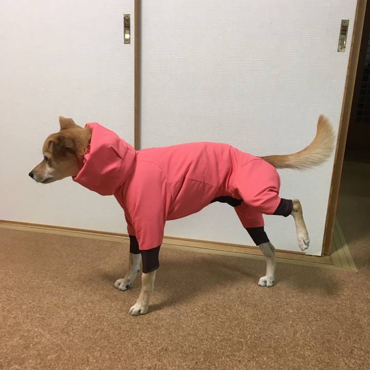 8bd06b75 0c20 4d80 a0a0 2022edac6aaa 1544083569783