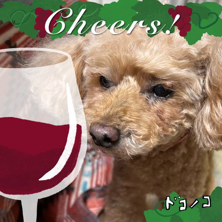 8bd08a3b 4e7a 4f5d 88d0 9ea7fc3e8e2a 1761134681919