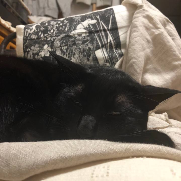 8bd0be8c 4a23 41a1 870f abe1ef56588c 1543014298904