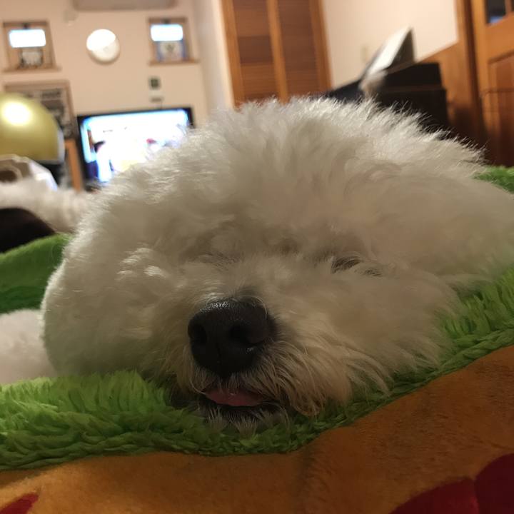 8bd0d7ea 5ef7 444c 8a91 5c59a35746b1 1546243118207