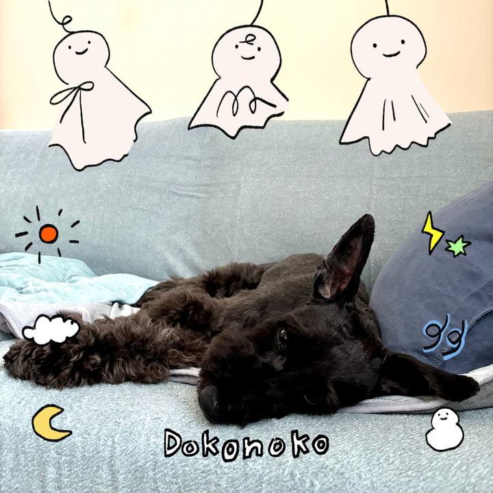 8bd0d92d 8cc4 4769 acbd 1dc2d10890cf 1749341576865