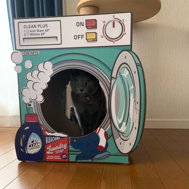 8bd1052c f88d 42ac a8bc a47012253cab 1669602650219