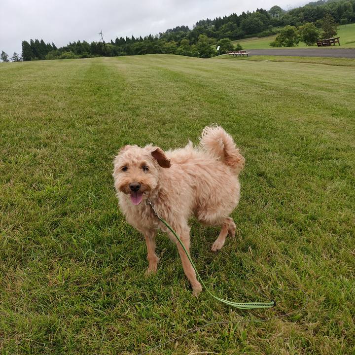 8bd12135 3544 40cb 9e5c 6077a206c260 1596358018389