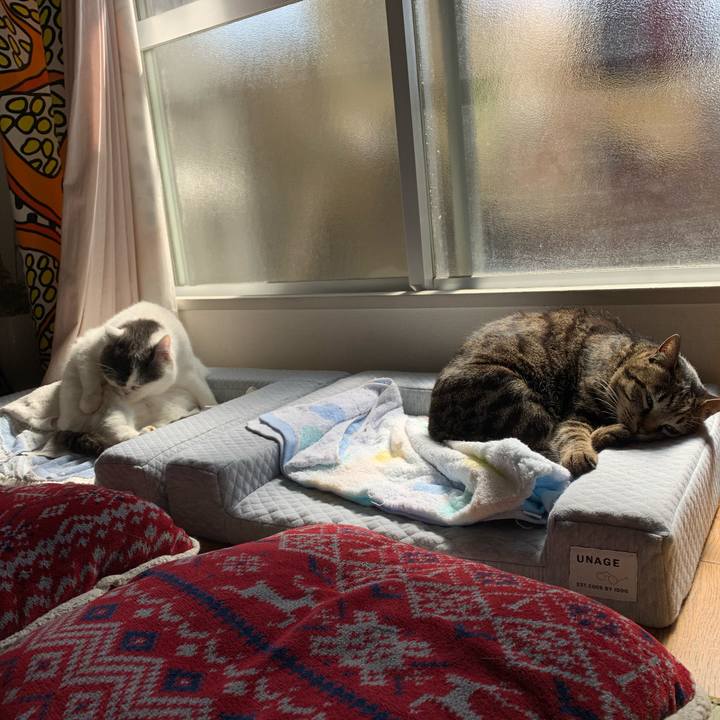 8bd14d98 c70f 48bd 8cdd b406c842b498 1584764577270