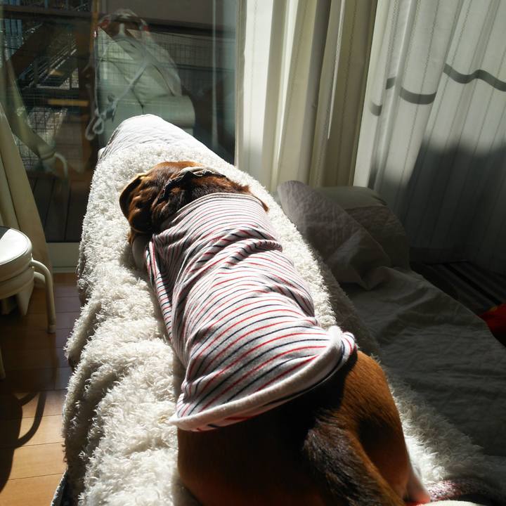 8bd1591c 097a 4006 ad35 eafdfaadee0b 1579402748446