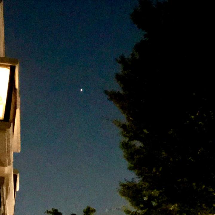 8bd169ad 0c62 4812 95c3 3d30072d85c0 1533217782741