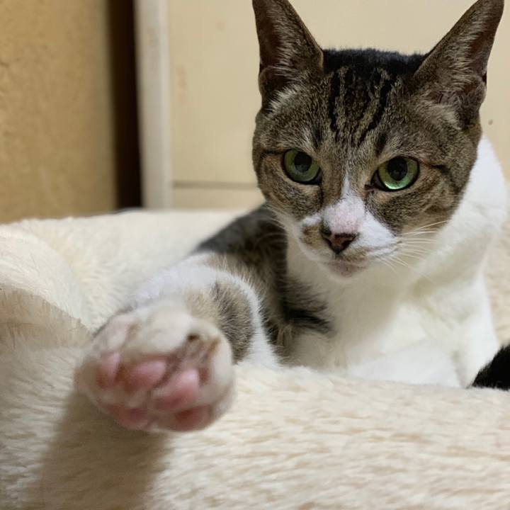 8bd18edc 80af 4a26 87b1 d16bfffa7aa8 1555896541444