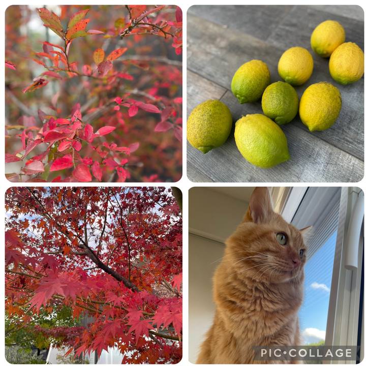 8bd1b5a2 c584 4c5e 80cd 23c838df09c7 1764317307654