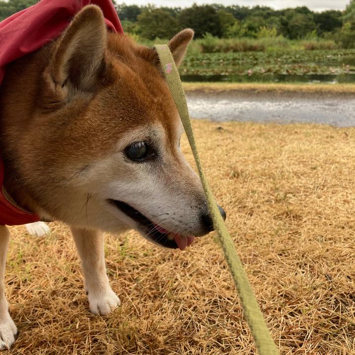 8bd1e874 0db6 4d5f adf5 2aaf7552bdfd 1690871450111