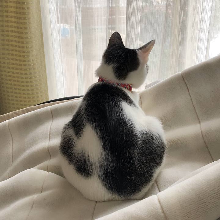 8bd1eca4 74a1 4130 a796 e295abfbe3e2 1579649634075