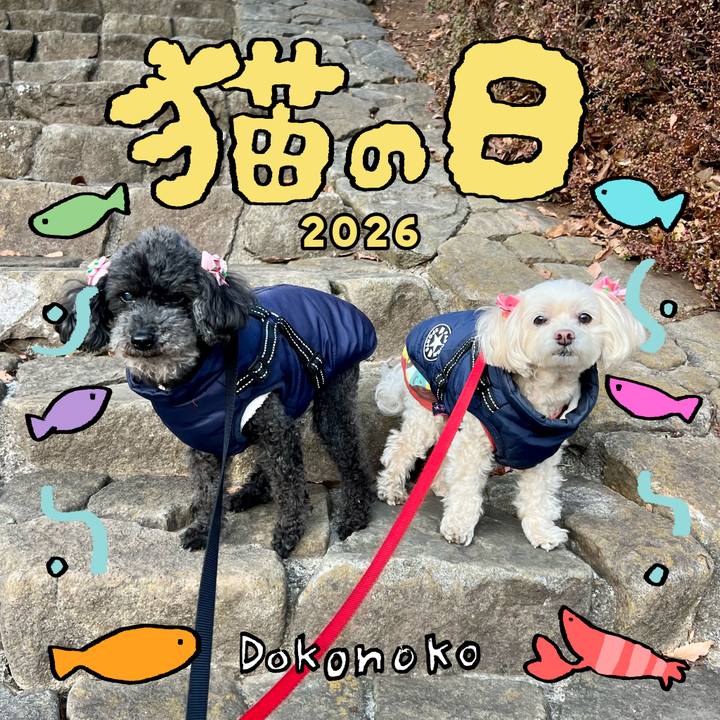 8bd21841 a46a 4c1e a0c5 7613017186f5 1771752173124