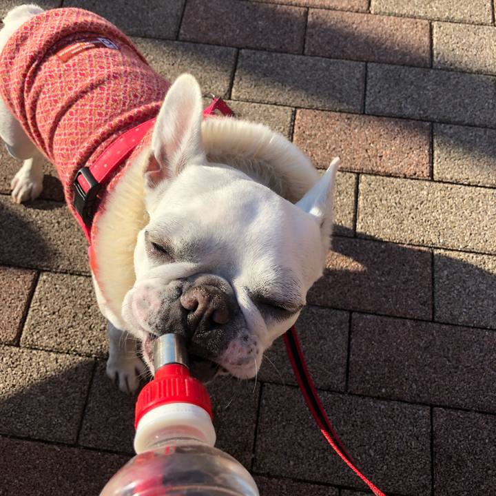 8bd22bd2 252d 4063 b437 235fd71a292c 1545633703555