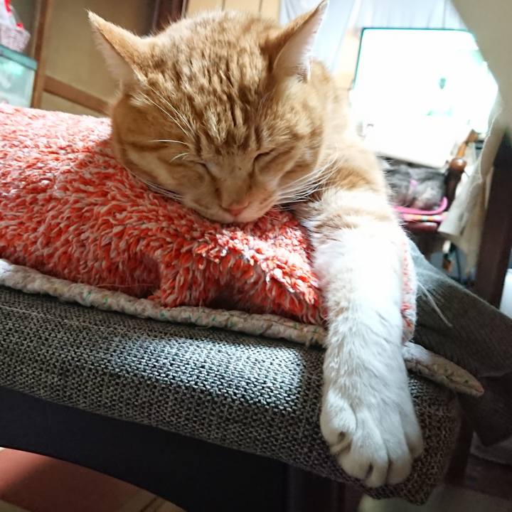 8bd23f59 83f9 4e5d bba0 d63ffab7d868 1581239862393