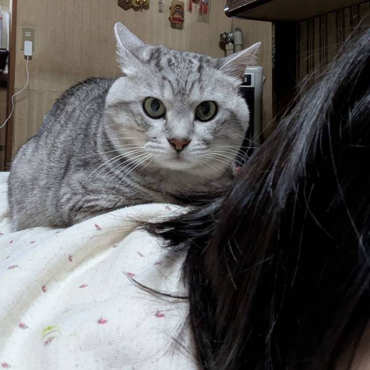 8bd25d0b 4aa0 48e3 b80a 528a5ec26fa4 1764932614560