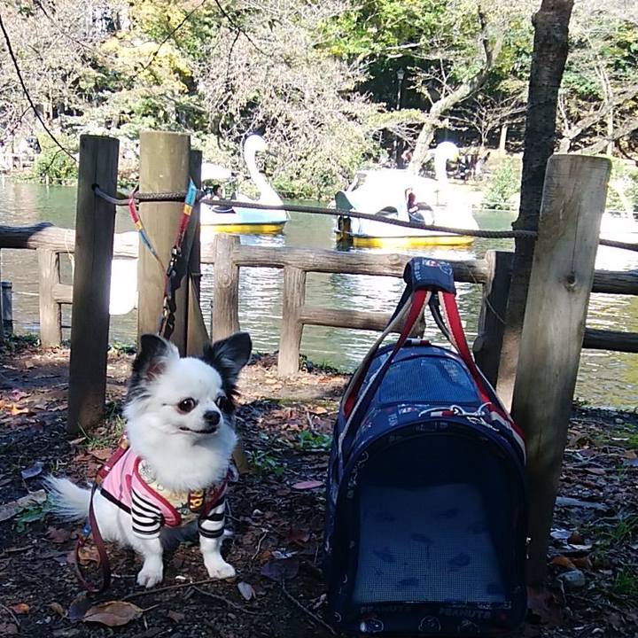 8bd28108 1fe0 4579 9f3c 6555aec987b2 1509694479592