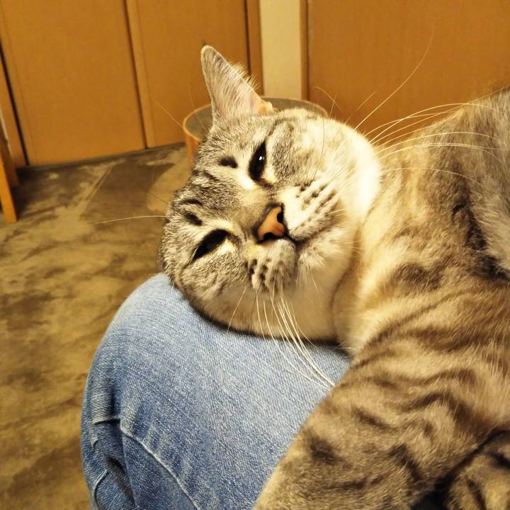 8bd2b5eb b63f 43c7 8fe1 86203f730b97 1617446870979