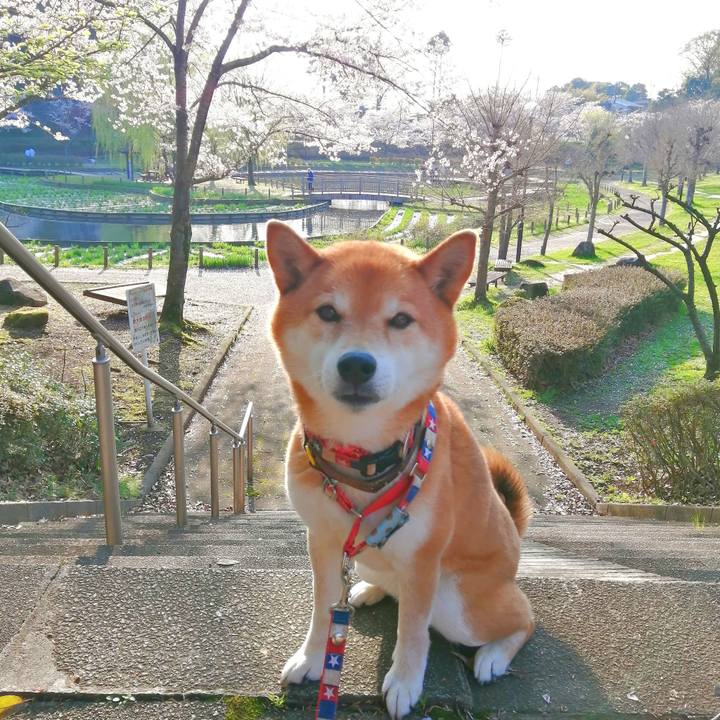 8bd2c085 f09f 4b1f a3de aecf53470076 1680077178968