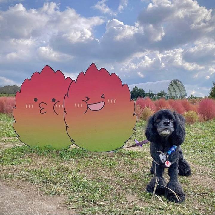 8bd2ec94 6c53 457a 8a68 a0dbac6e0b85 1697372437180