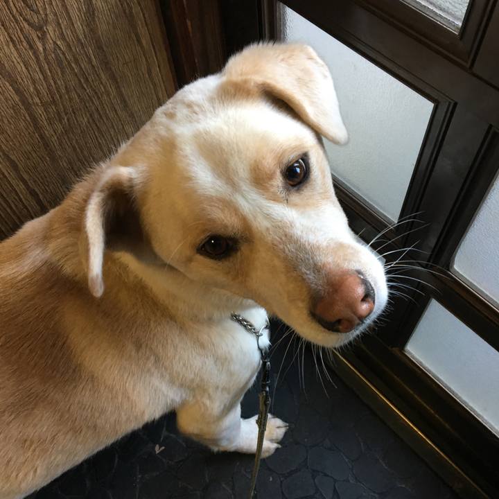 8bd2ee50 934e 47dd 808a bfb27d9ccacc 1516836076552