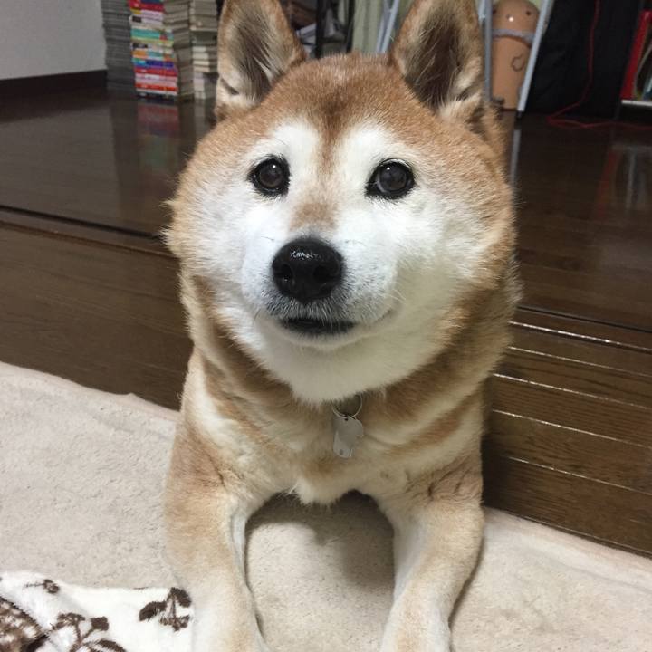 8bd2efe2 2755 4917 9cbc 5fa111a0376d 1551176454154