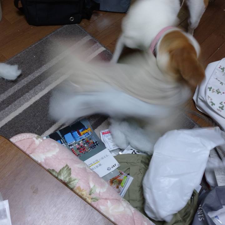 8bd2f717 19d4 4efe 9126 7c9dad3c3728 1592900545924