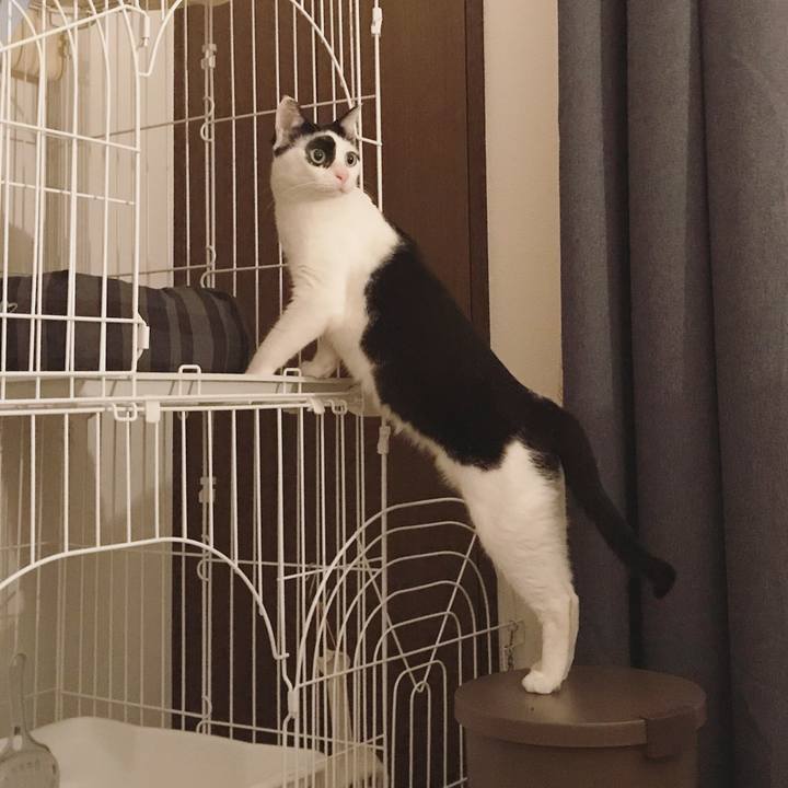 8bd3511d d216 4bb4 9492 7eaf897fc4fd 1567166855599