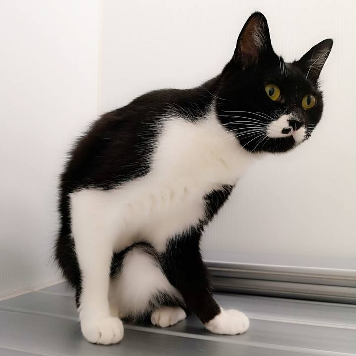 8bd35364 cb86 4a55 ad3d e8694d494691 1542738454763