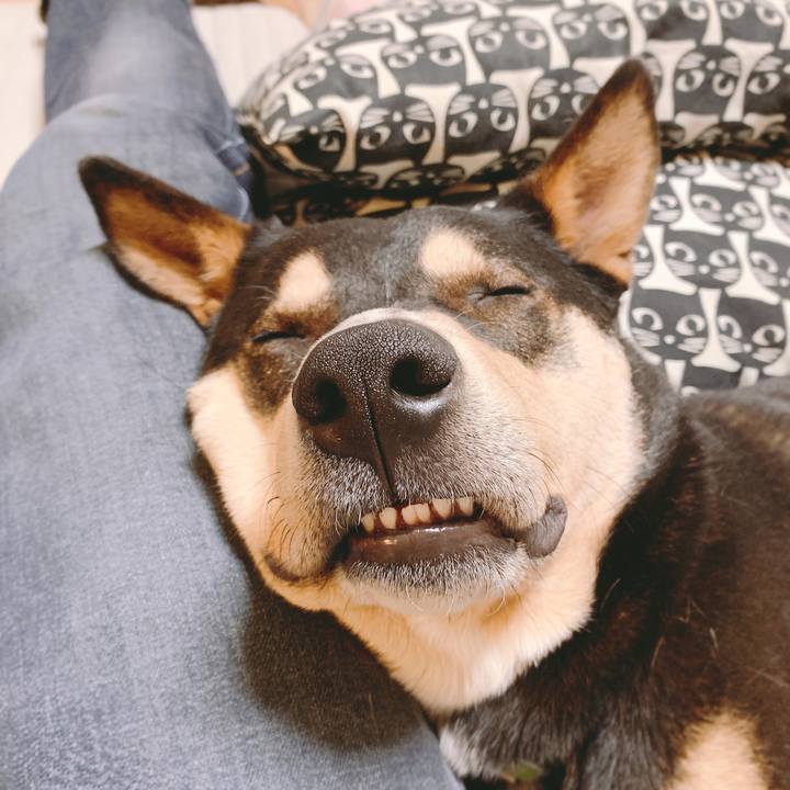 8bd38d68 fcb4 4c3f 8f18 d85b02a12ff1 1553822788393