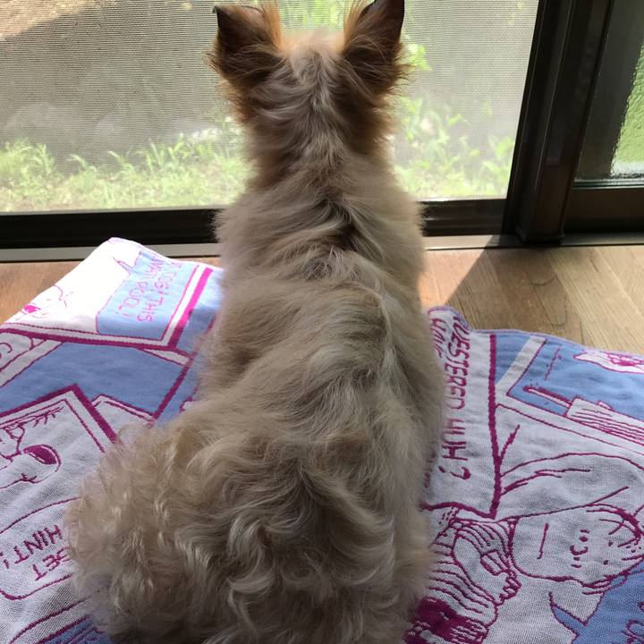 8bd38ef8 cba0 4613 9567 1fa21148f413 1528421202366