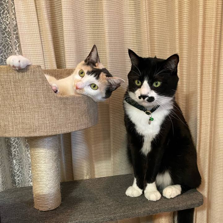 8bd3cb06 65e3 4548 bd2f 407d006a90b6 1704369747528