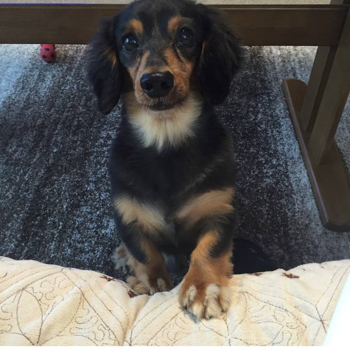 8bd3e59b a835 4739 b988 5bcb6ba394d9 1627727150379