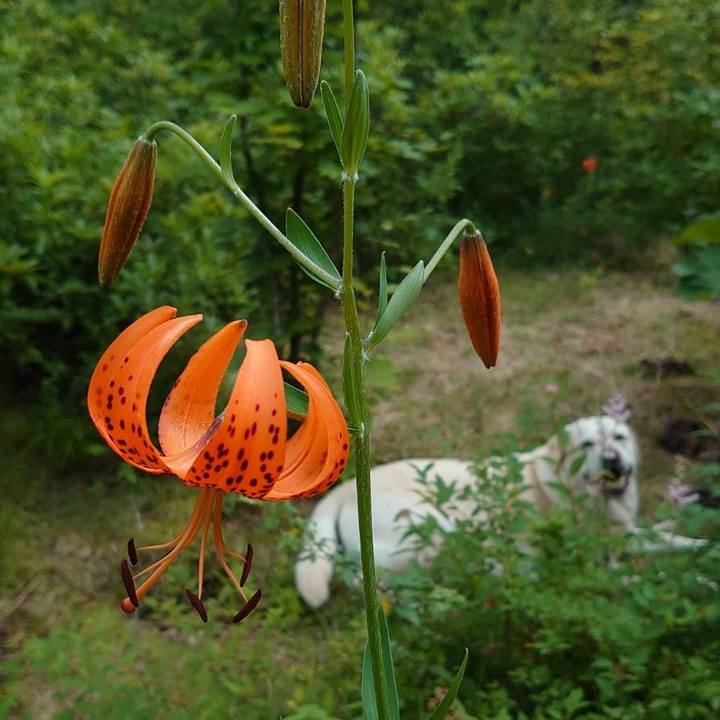 8bd3e75c 4837 4cfe 9555 231cc1024c1b 1722068335745