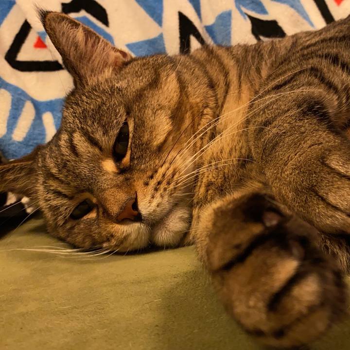 8bd4023e 9245 49e4 905c 9b28d2b1e744 1682004726445