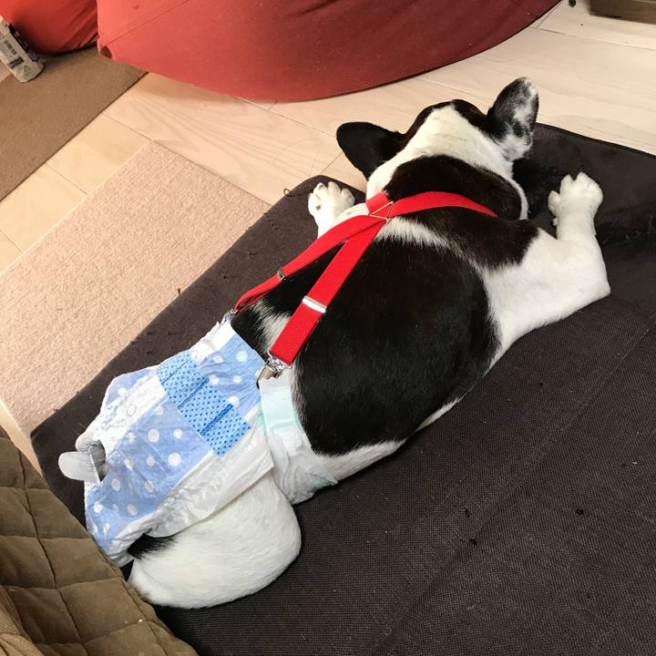 8bd428c0 5d87 453f 9d8f 6be0e7d715fd 1514007987826