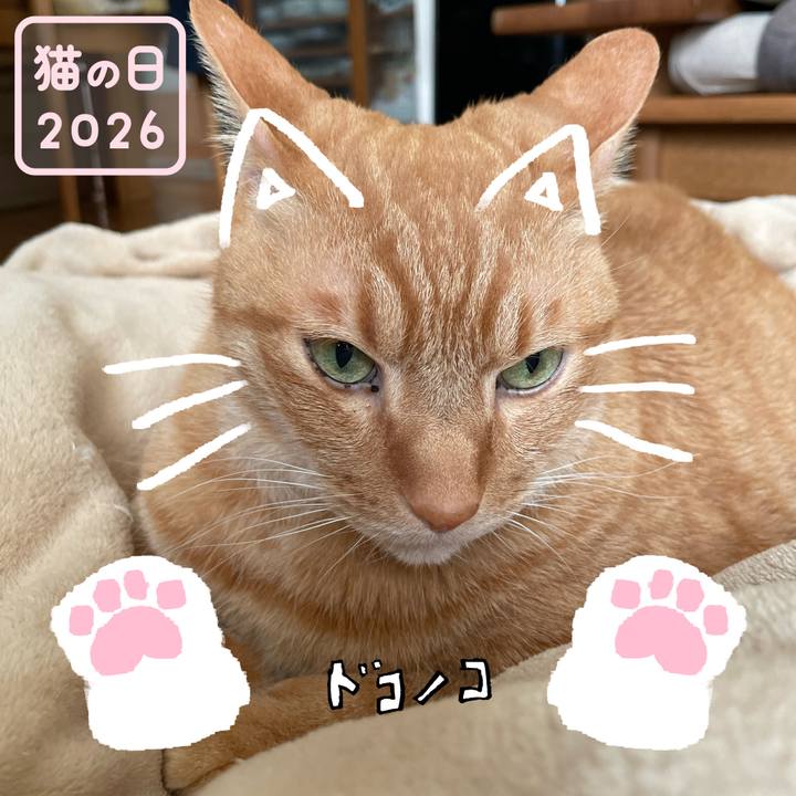 8bd4a14a 6efb 466f b336 e174c3f86a9f 1771720425988