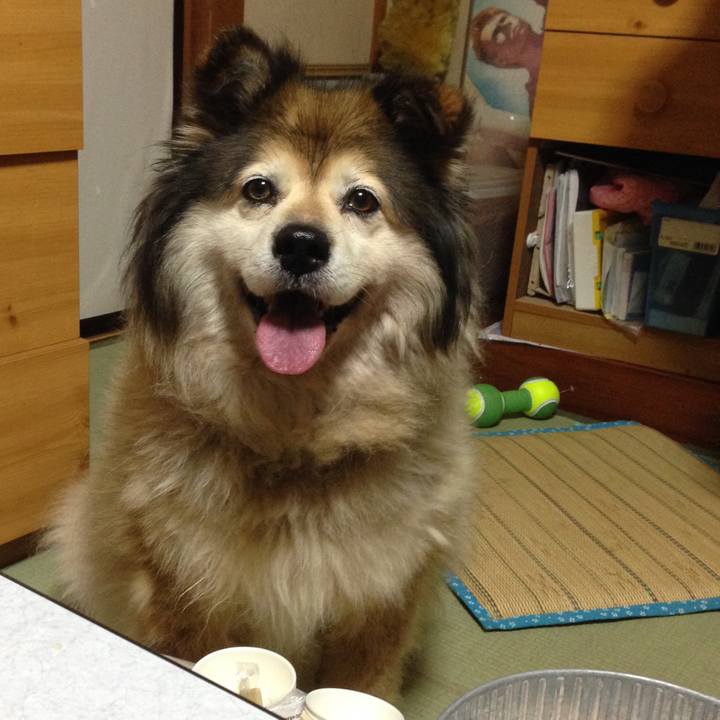 8bd4f9d5 b5d2 40a6 85ca 6187996857fe 1549412508768