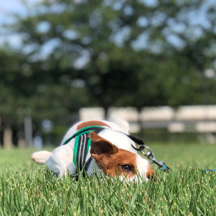 8bd4fef6 14a9 49ac 91da e9680ede29c4 1566616284309