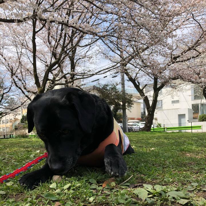 8bd504aa 3385 45e8 ab7f 9c9c69939fa0 1522050521055