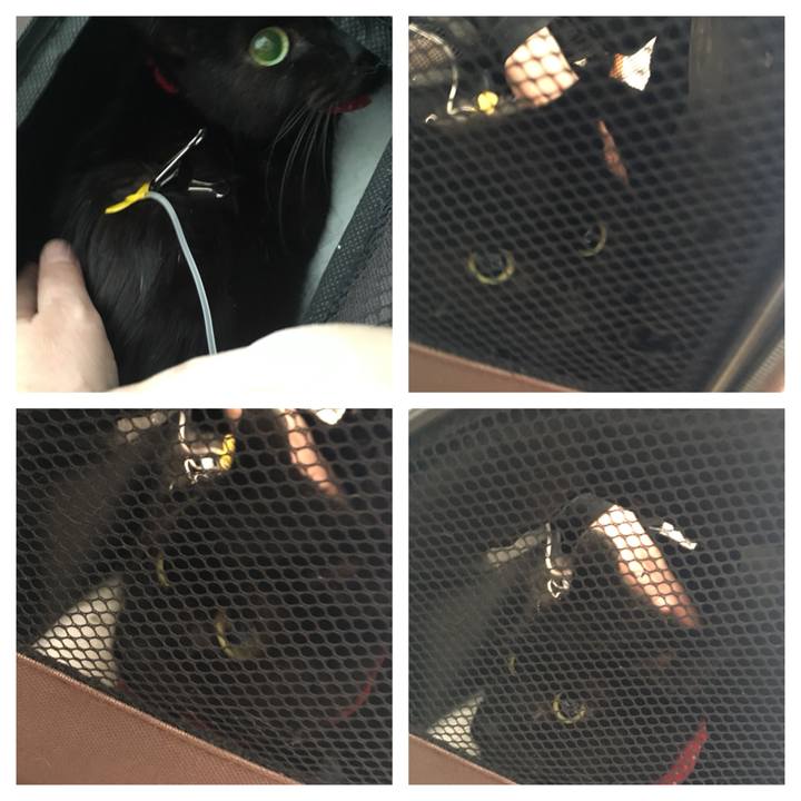 8bd589f6 8364 4116 a5f1 0fad36052f29 1551766418385