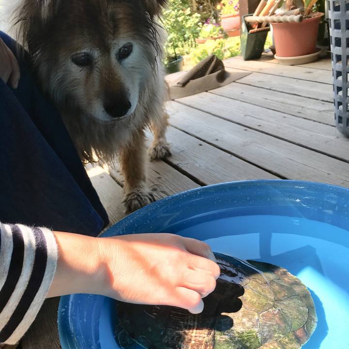 8bd5910c 4686 48e0 a346 c864bf94a4dc 1571011000150